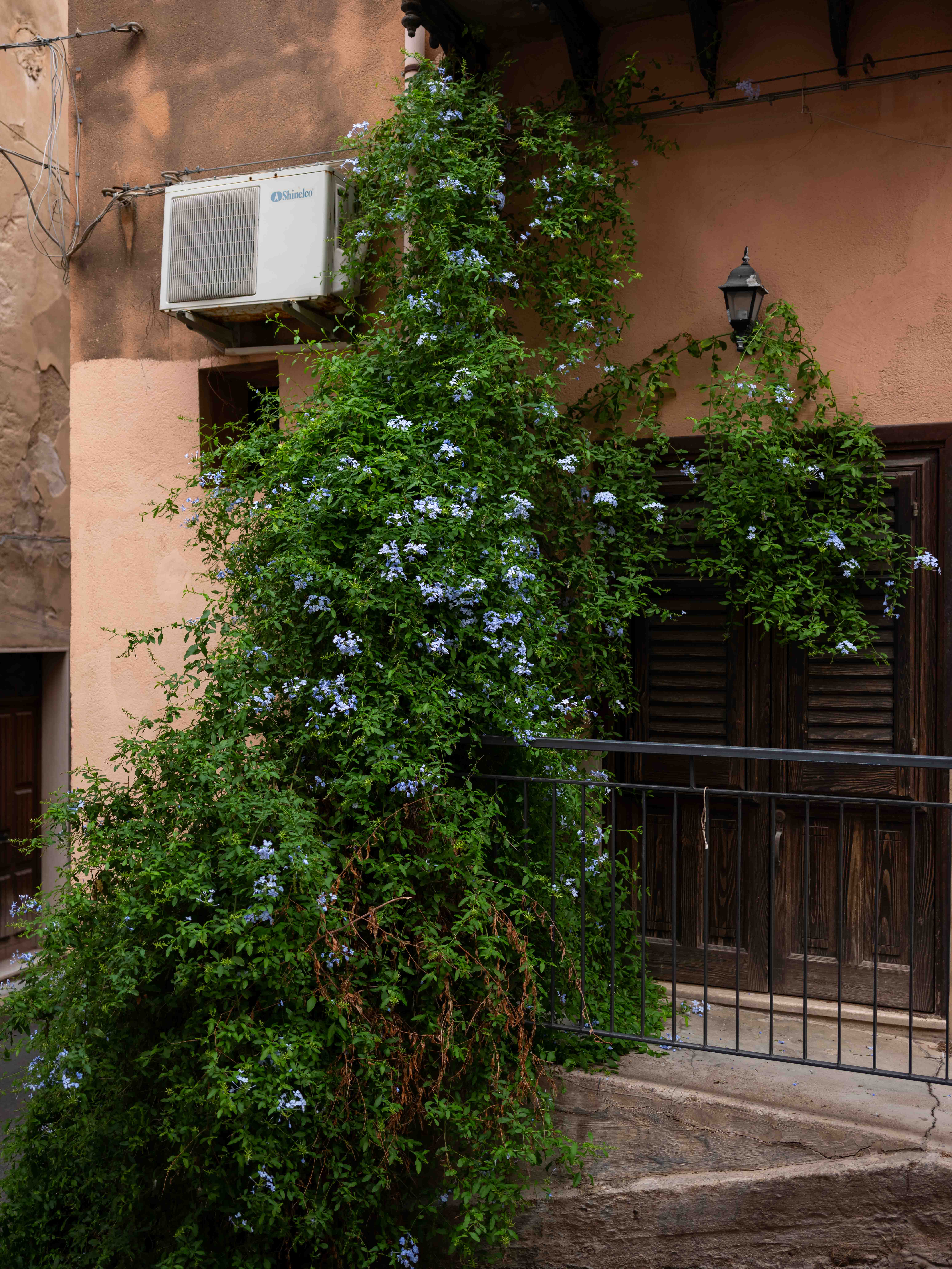 Photos from travel in Sicily, Fall 2024. Taormina, Noto, Palermo.